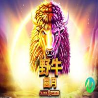 支持虚拟现实游戏